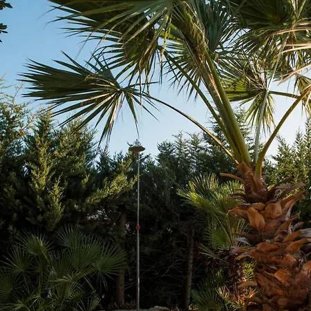 Villa Adele Alcamo, Piscina Privata E Privacy *